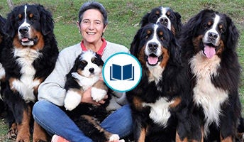 Icono de la historia de Laura