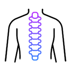 Icono de columna vertebral y espalda