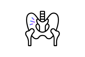 Icono de pelvis y columna vertebral