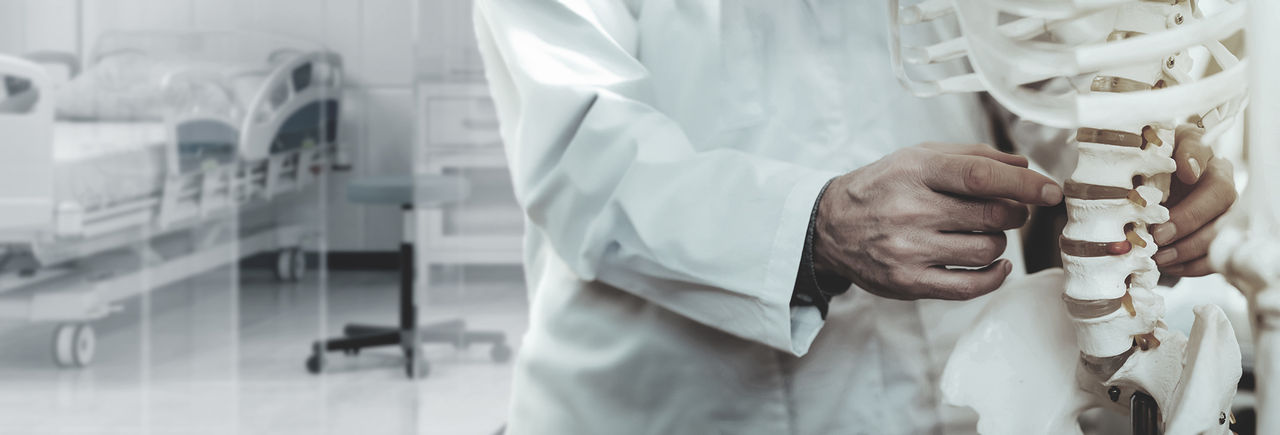 Médico que examina un modelo de columna vertebral en una sala de hospital